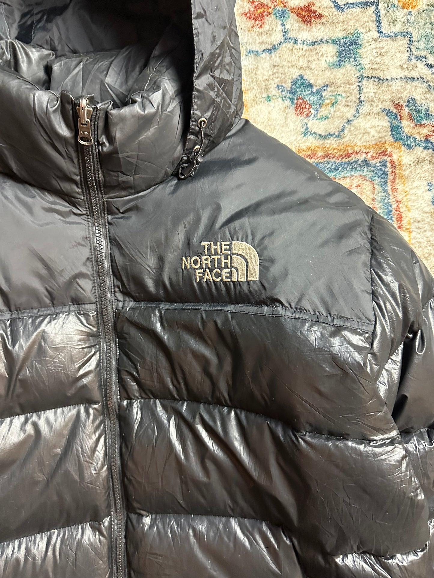 00s The North Face Summit Series 900 Puffer Jacket - L