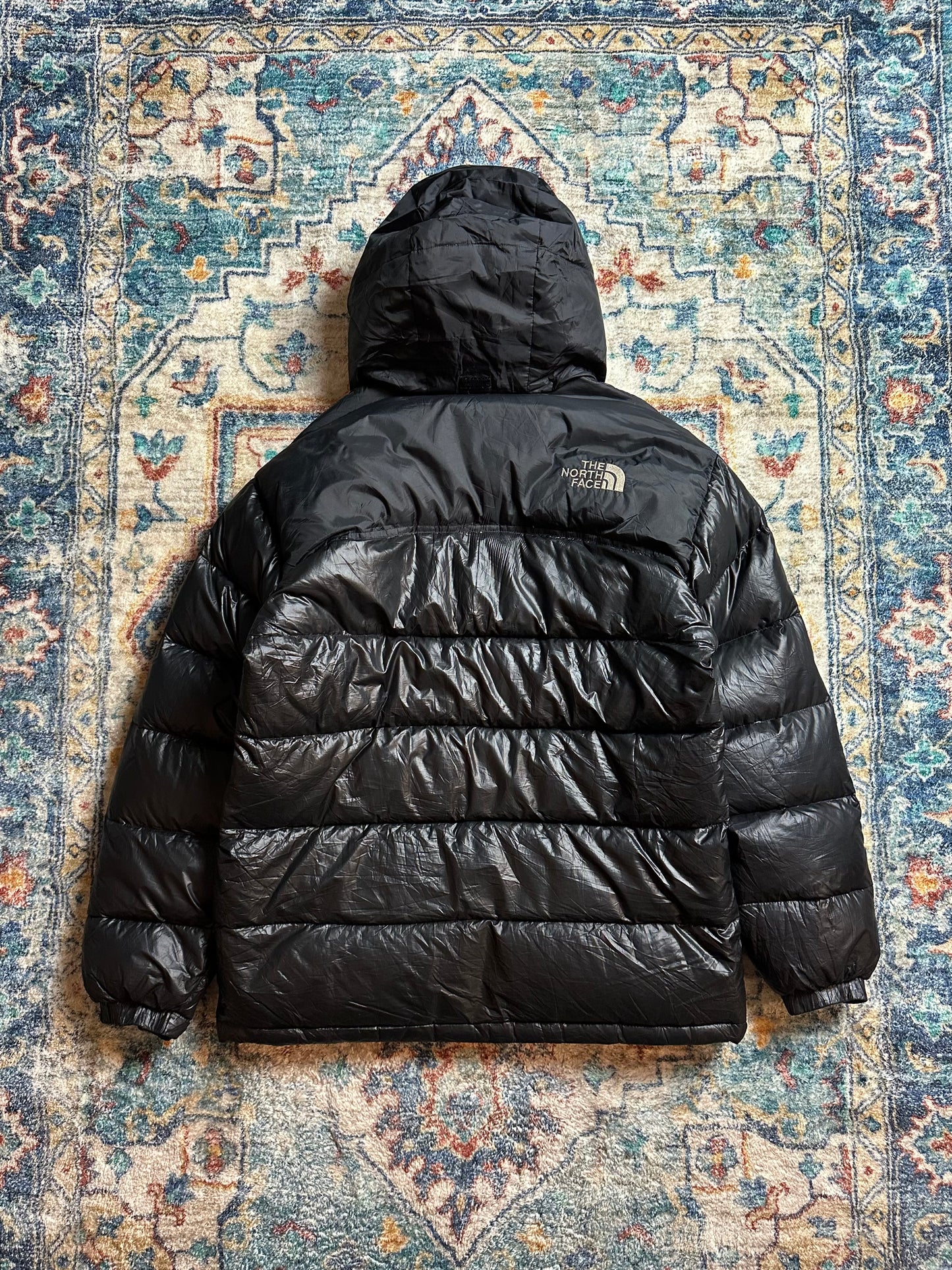 00s The North Face Summit Series 900 Puffer Jacket - L