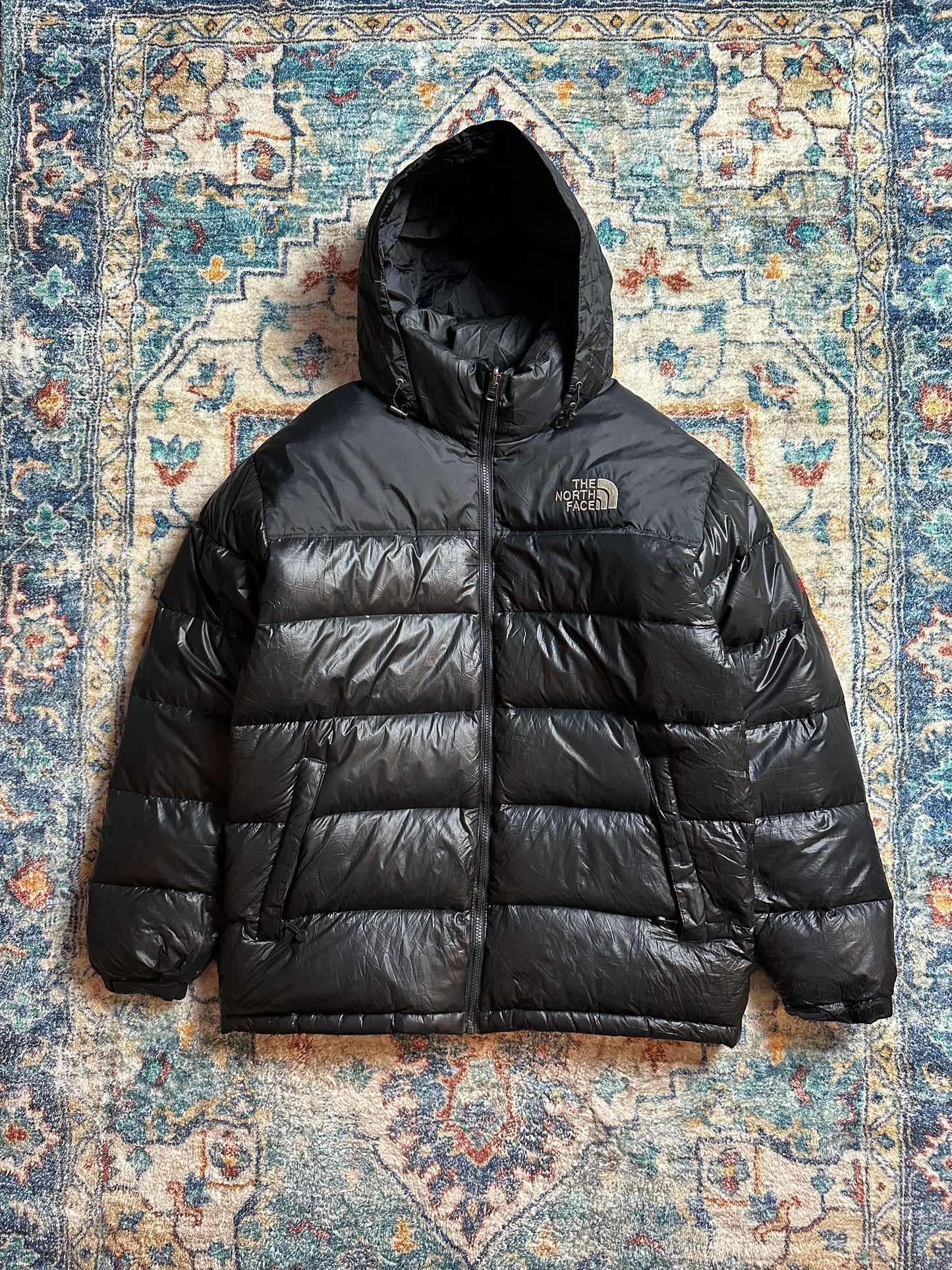 00s The North Face Summit Series 900 Puffer Jacket - L
