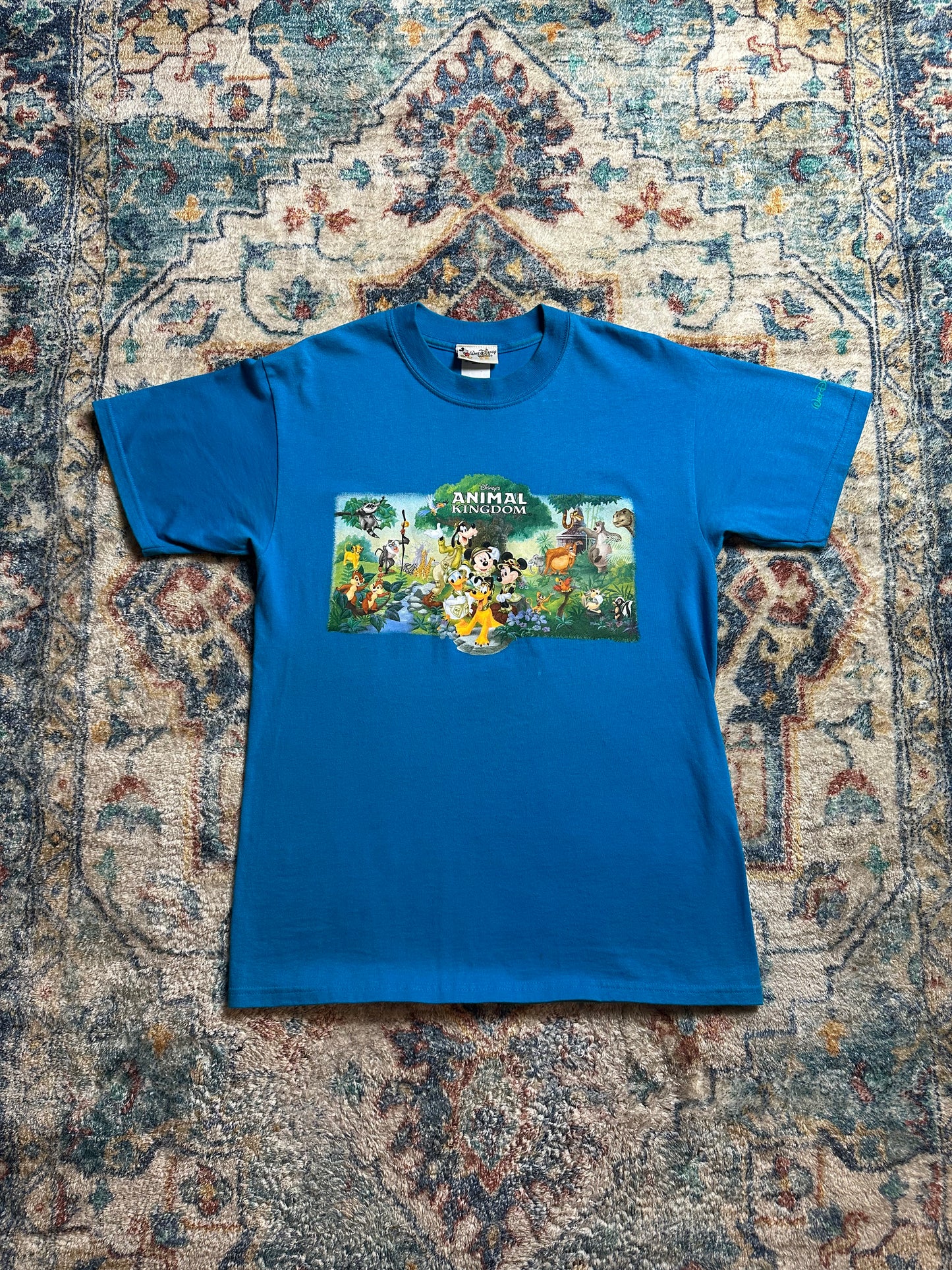 90s Disney Animal Kingdom T-shirt - M