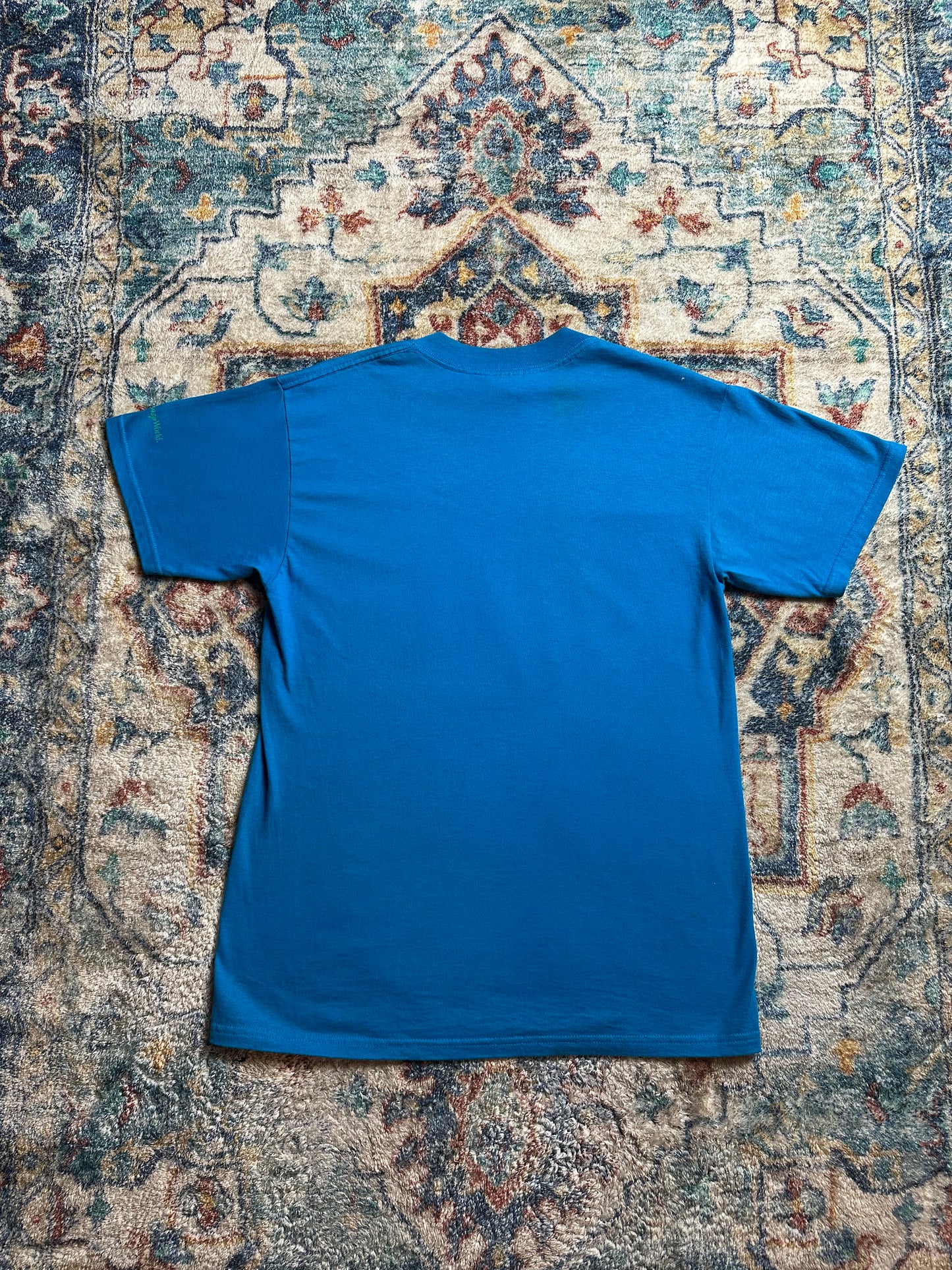 90s Disney Animal Kingdom T-shirt - M