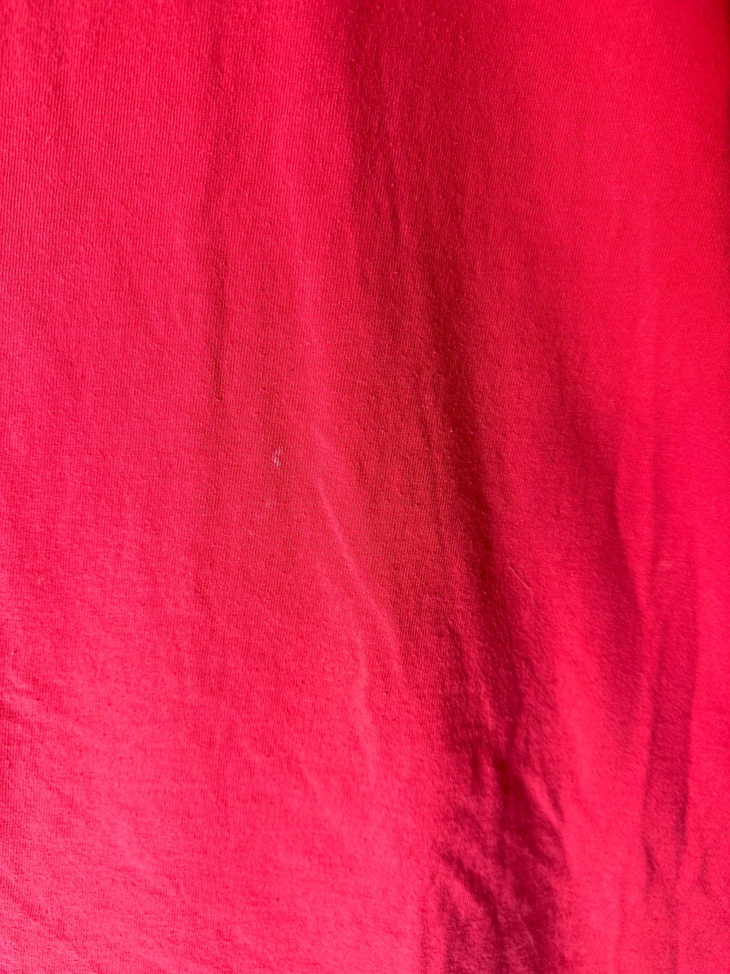 Vintage Sun-Rype Spellout T-shirt - XL