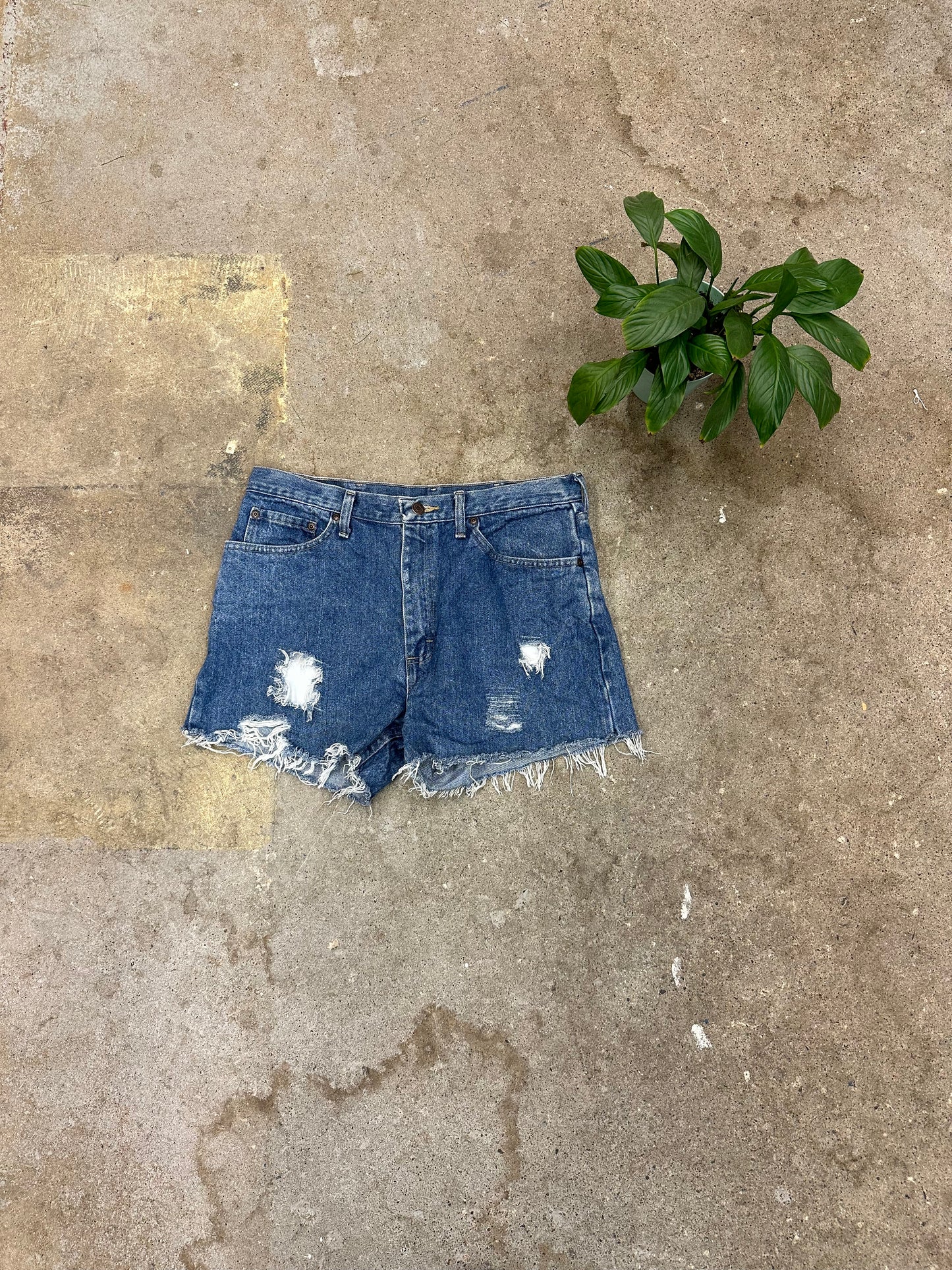 Wrangler Cutoff Distressed Jean Shorts - 34