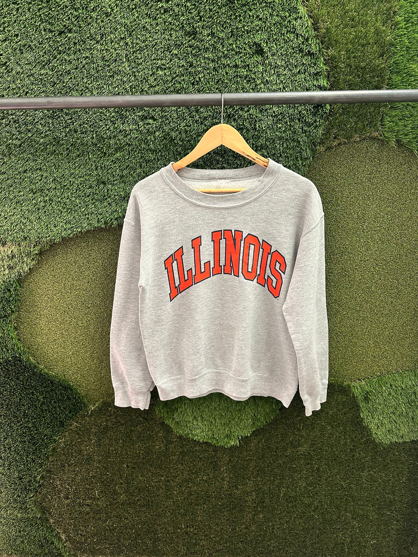 Vintage NCAA Illinois Spellout Collegiate Crewneck - M