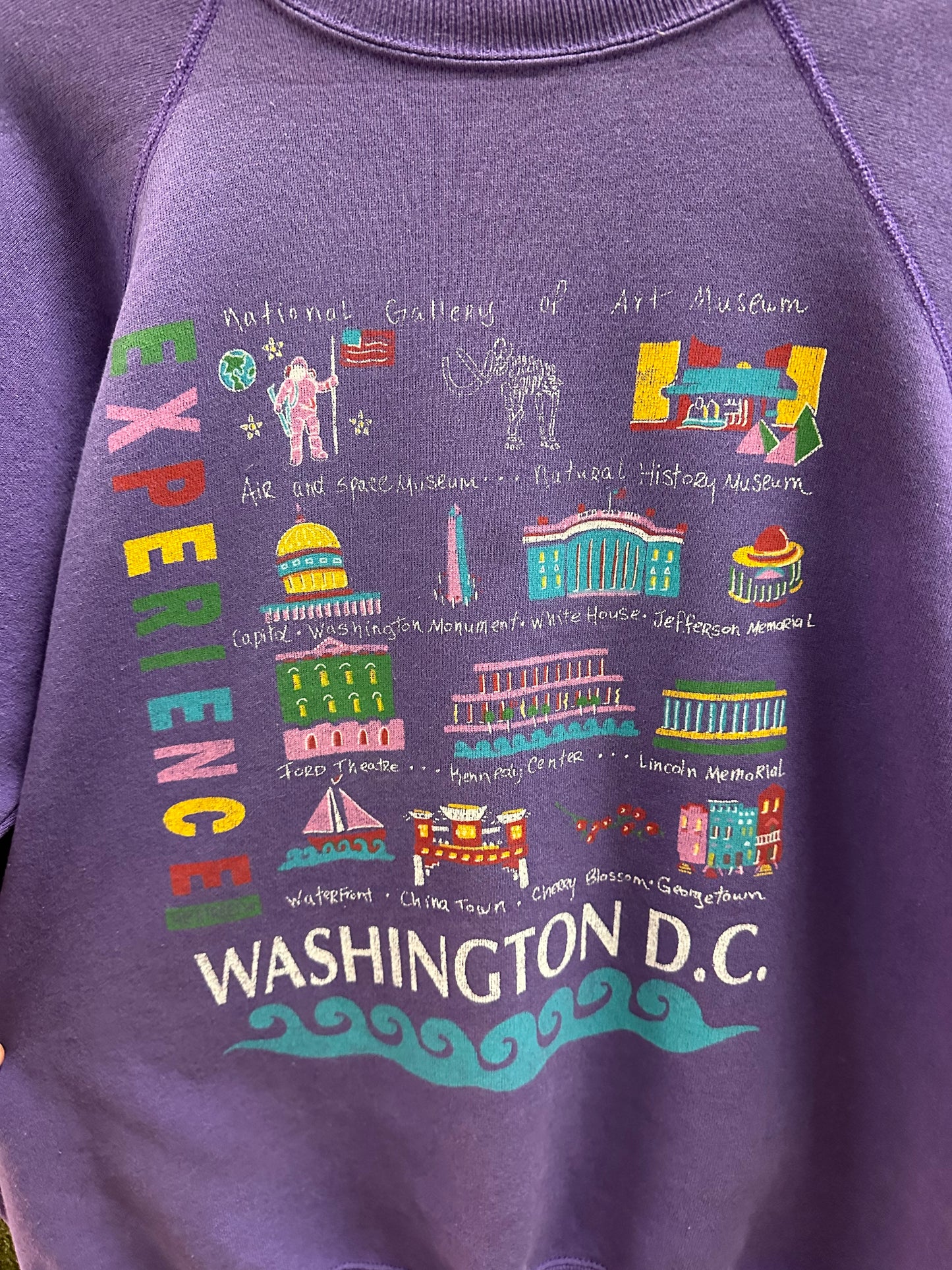 Vintage Experience Washington D.C. Crewneck - L