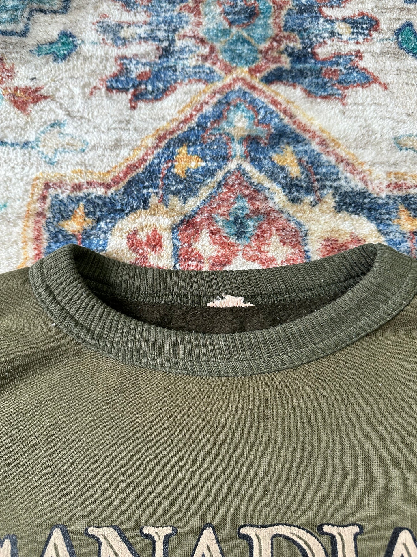 90s Canadian Rockies Grizzly Bear Crewneck - XL