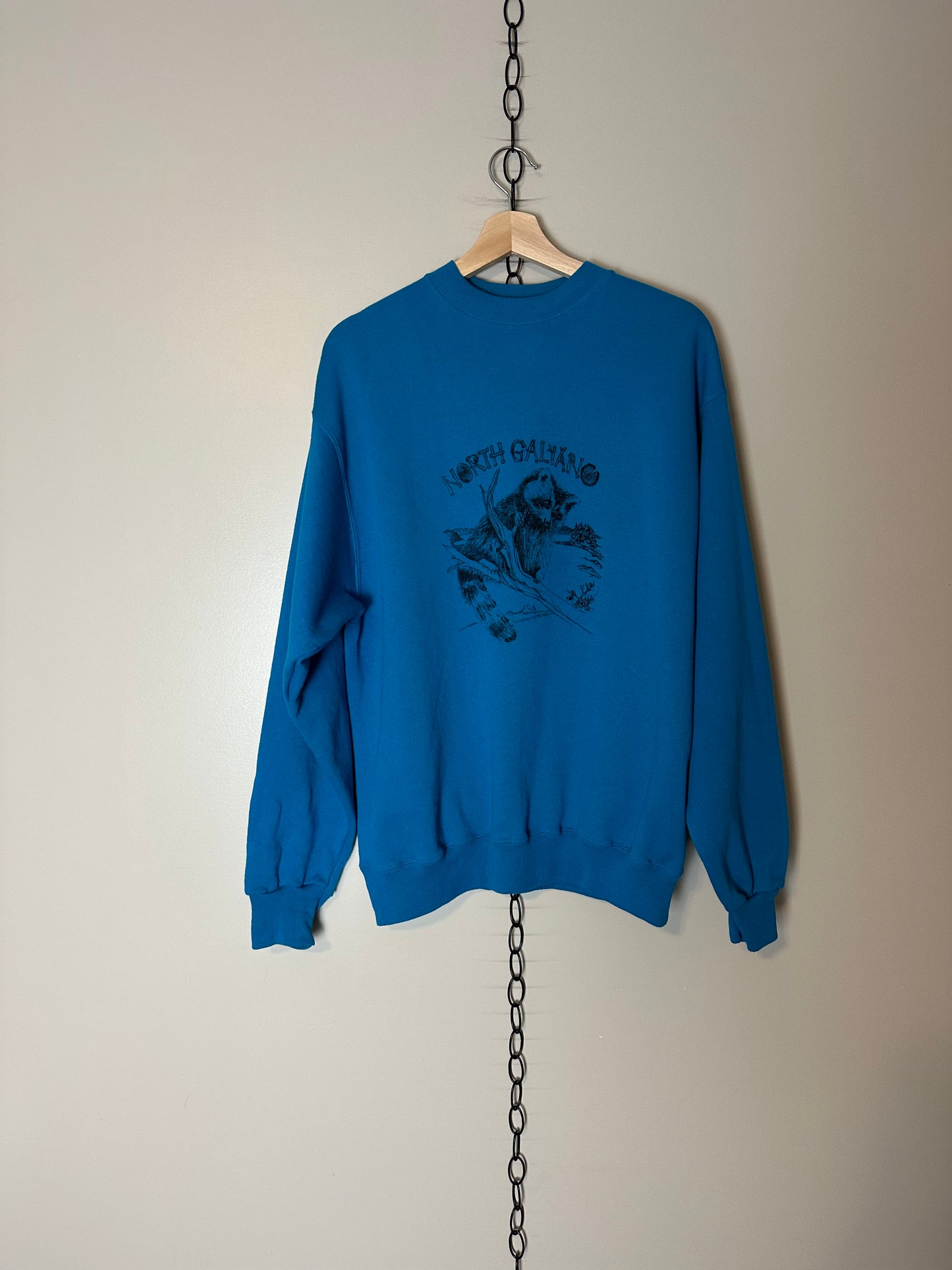 90s Galiano Island Raccoon Crewneck - XL