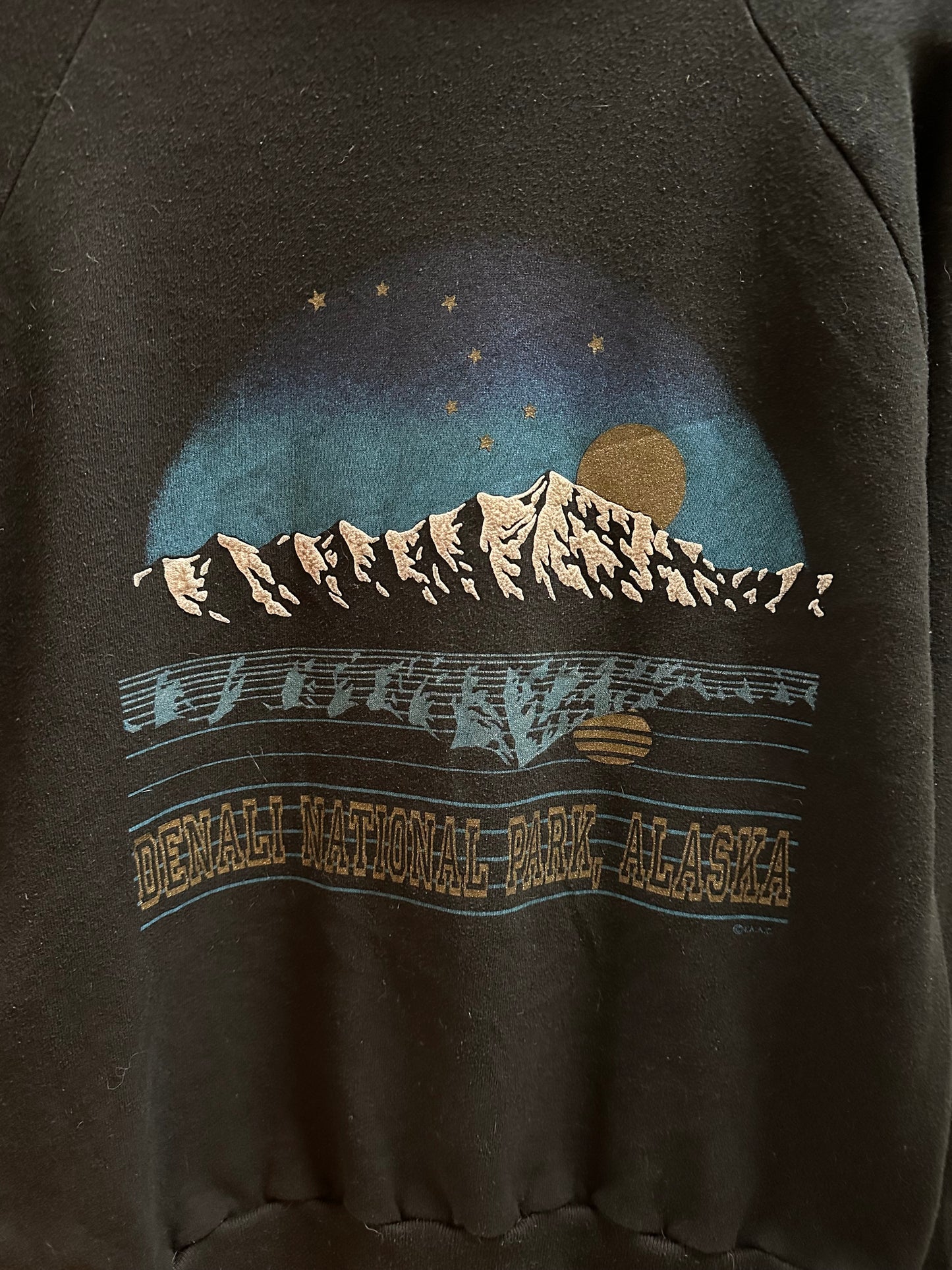 90s Denali National Park Crewneck - M