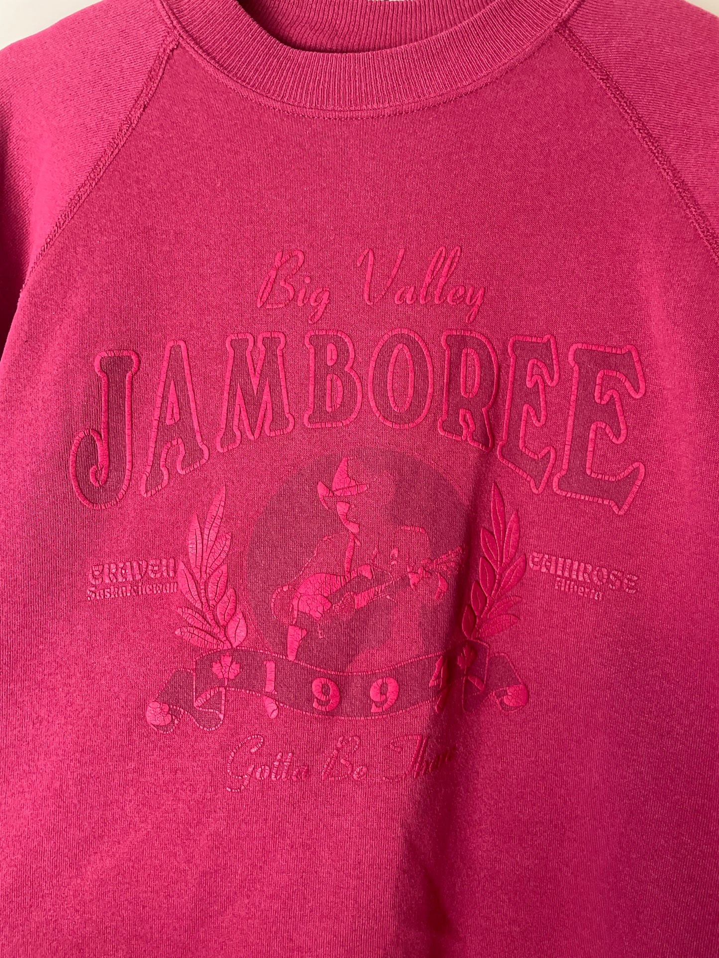 Vintage 1994 Big Valley Jamboree Festival Crewneck - L